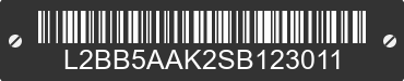 2025 BAODIAO 5 lines L2BB5AAK2SB123011 VIN decoded