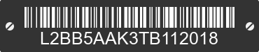 2026 BAODIAO 5 lines L2BB5AAK3TB112018 VIN decoded