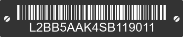 2025 BAODIAO 5 lines L2BB5AAK4SB119011 VIN decoded