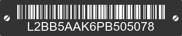 2023 BAODIAO 5 lines L2BB5AAK6PB505078 VIN decoded