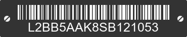 2025 BAODIAO 5 lines L2BB5AAK8SB121053 VIN decoded