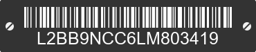 2020 BAODIAO 9 lines L2BB9NCC6LM803419 VIN decoded
