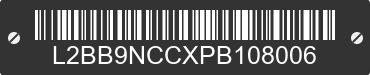 2023 BAODIAO 9 lines L2BB9NCCXPB108006 VIN decoded