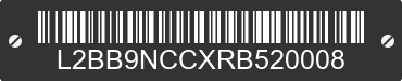 2024 BAODIAO 9 lines L2BB9NCCXRB520008 VIN decoded