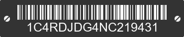 2022 DODGE Durango 1C4RDJDG4NC219431 VIN decoded