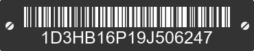 2009 DODGE Ram 1D3HB16P19J506247 VIN decoded