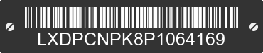 2023 DONGFANG DF250RTG LXDPCNPK8P1064169 VIN decoded
