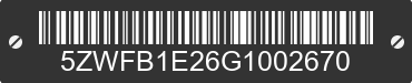 2016 EVERGREEN Evergreen 5ZWFB1E26G1002670 VIN decoded