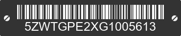 2016 EVERGREEN Evergreen 5ZWTGPE2XG1005613 VIN decoded