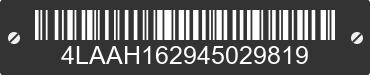 2004 EXXISS Exiss 4LAAH162945029819 VIN decoded