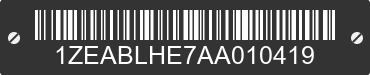 2010 EZL MODEL EZWV/AWV 1ZEABLHE7AA010419 VIN decoded
