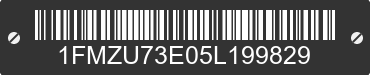 2005 FORD Explorer 1FMZU73E05L199829 VIN decoded