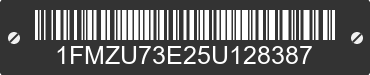 2005 FORD Explorer 1FMZU73E25U128387 VIN decoded