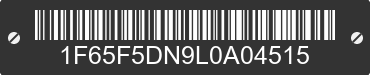 2020 FORD Motorhome Chassis 1F65F5DN9L0A04515 VIN decoded