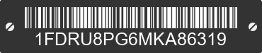 2021 FORD Transit 1FDRU8PG6MKA86319 VIN decoded