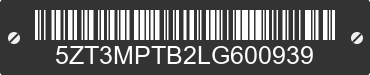 2020 FOREST RIVER IMPRESSION 5ZT3MPTB2LG600939 VIN decoded
