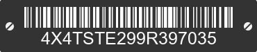 2009 FOREST RIVER Salem Toy Hauler 4X4TSTE299R397035 VIN decoded
