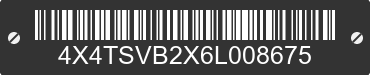 2006 FOREST RIVER Surveyor 4X4TSVB2X6L008675 VIN decoded