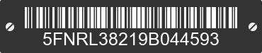 2009 HONDA Odyssey 5FNRL38219B044593 VIN decoded