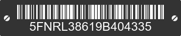 2009 HONDA Odyssey 5FNRL38619B404335 VIN decoded