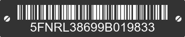 2009 HONDA Odyssey 5FNRL38699B019833 VIN decoded