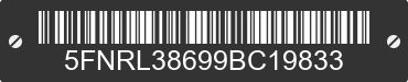 2009 HONDA Odyssey 5FNRL38699BC19833 VIN decoded