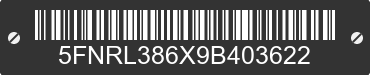 2009 HONDA Odyssey 5FNRL386X9B403622 VIN decoded