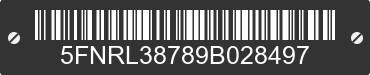 2009 HONDA Odyssey 5FNRL38789B028497 VIN decoded