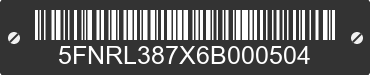 2006 HONDA Odyssey 5FNRL387X6B000504 VIN decoded