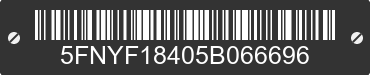 2005 HONDA Pilot 5FNYF18405B066696 VIN decoded