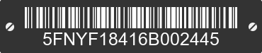 2006 HONDA Pilot 5FNYF18416B002445 VIN decoded