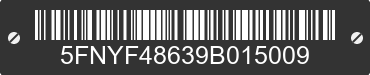 2009 HONDA Pilot 5FNYF48639B015009 VIN decoded