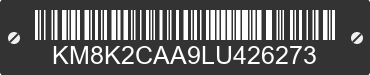 2020 HYUNDAI Kona KM8K2CAA9LU426273 VIN decoded
