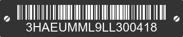 2020 INTERNATIONAL MV607 3HAEUMML9LL300418 VIN decoded