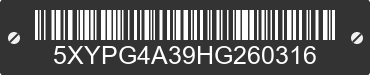 2017 KIA Sorento 5XYPG4A39HG260316 VIN decoded