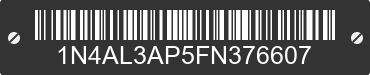 2015 NISSAN Altima 1N4AL3AP5FN376607 VIN decoded