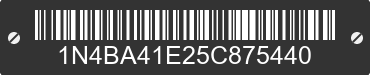 2005 NISSAN Maxima 1N4BA41E25C875440 VIN decoded