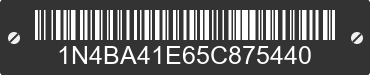 2005 NISSAN Maxima 1N4BA41E65C875440 VIN decoded