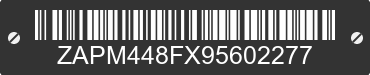 2009 PIAGGIO AND VESPA LX / LXV / S / FLY ZAPM448FX95602277 VIN decoded
