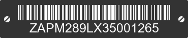 2003 PIAGGIO BV ZAPM289LX35001265 VIN decoded