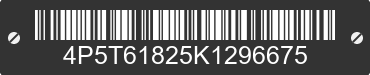 2019 PJ PJ 4P5T61825K1296675 VIN decoded
