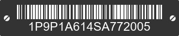 2025 PURPLE LINE LLC Purple Line LLC 1P9P1A614SA772005 VIN decoded