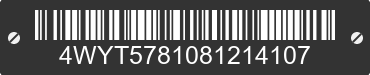 2008 R-VISION R-Vision 4WYT5781081214107 VIN decoded