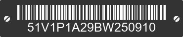 2011 R-VISION R-Vision 51V1P1A29BW250910 VIN decoded