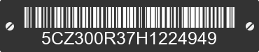 2017 RBD RBD 5CZ300R37H1224949 VIN decoded
