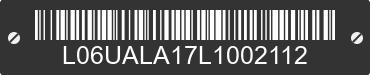 2020 TAIZHOU NEBULA POWER CO., LTD MODEL A L06UALA17L1002112 VIN decoded