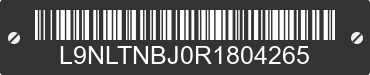 2024 TAOTAO B200 L9NLTNBJ0R1804265 VIN decoded