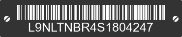 2025 TAOTAO B200 L9NLTNBR4S1804247 VIN decoded