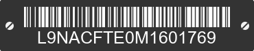 2021 TAOTAO GK L9NACFTE0M1601769 VIN decoded