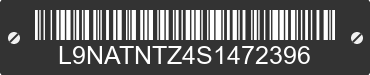 2025 TAOTAO GK L9NATNTZ4S1472396 VIN decoded